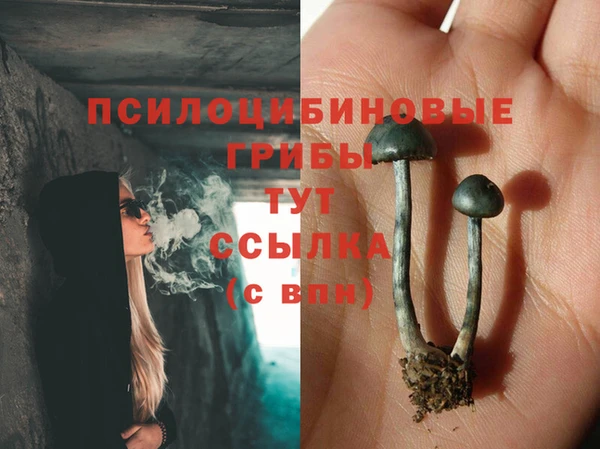 MDMA Михайловка